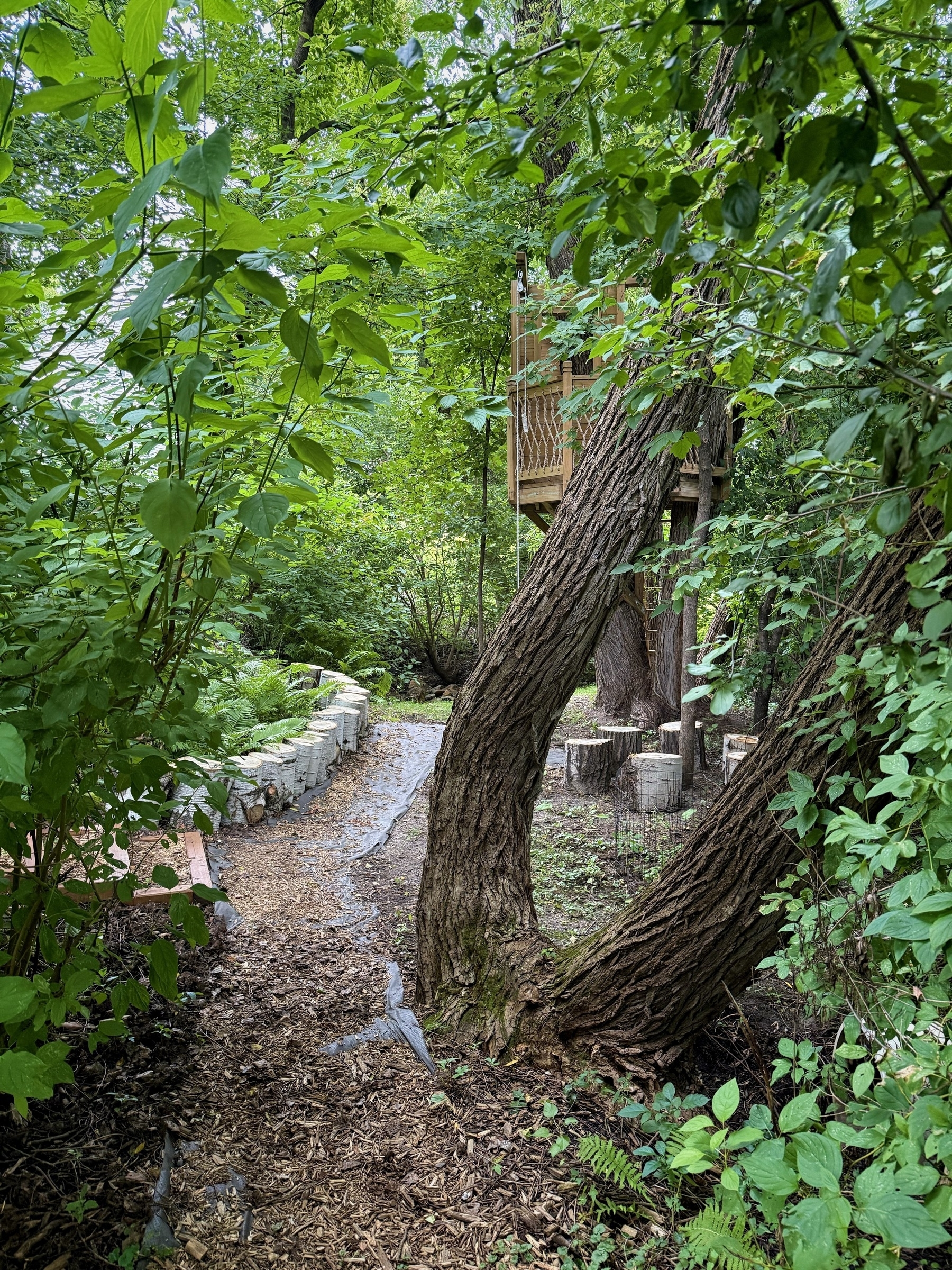 A narrow path covered with wood chips winds through lush green foliage and leads to a wooden treehouse nestled among the trees. A rustic wooden fence lines the left side of the path.