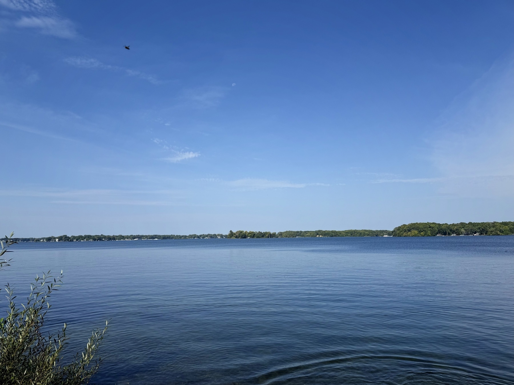 A serene view of a calm lake under a clear blue sky, with lush green trees lining the horizon and a few leafy branches in the foreground.