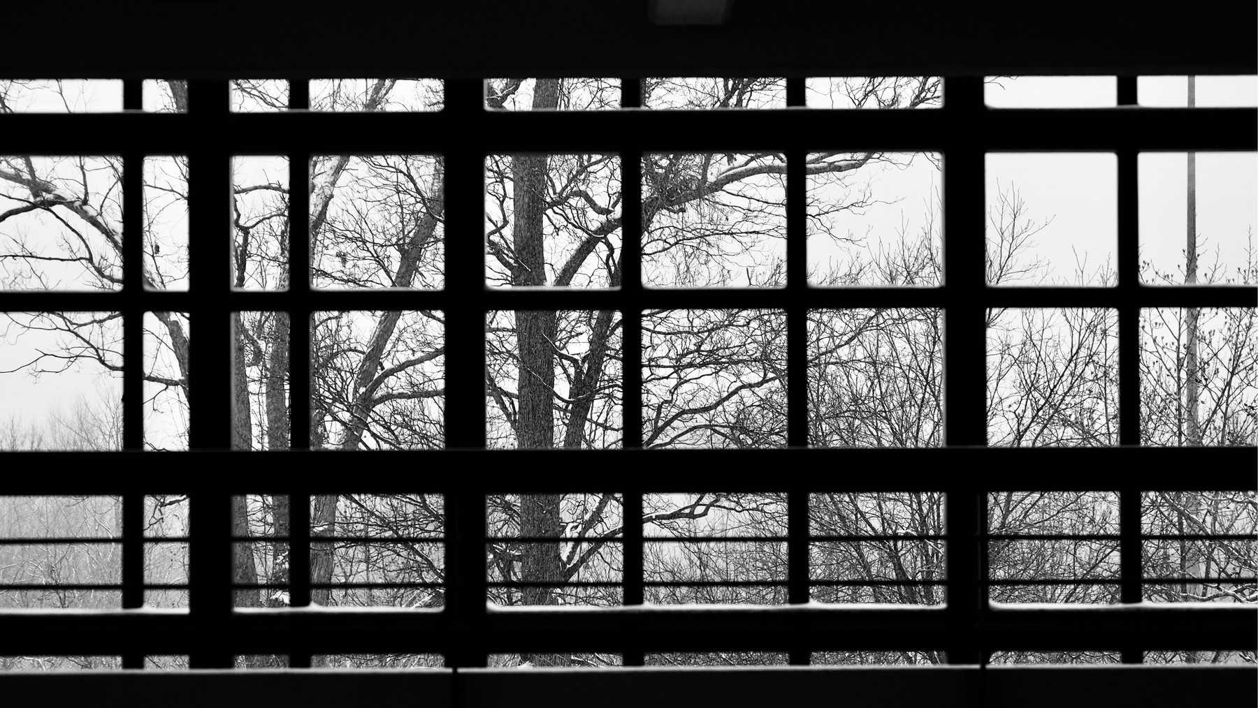 Square windows of metal with trees and snow visible through them
