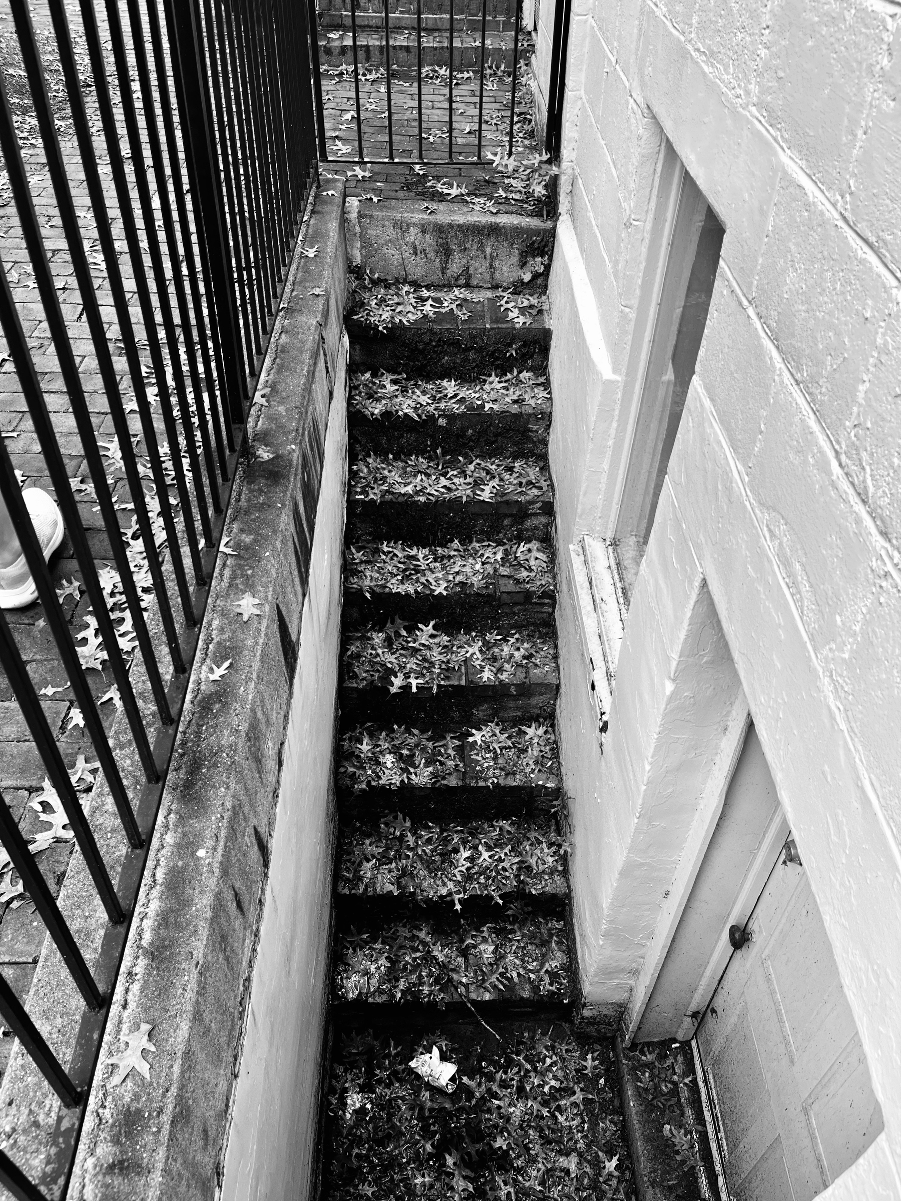 A weathered outdoor staircase scattered with leaves is bordered by a black metal railing and white brick walls.