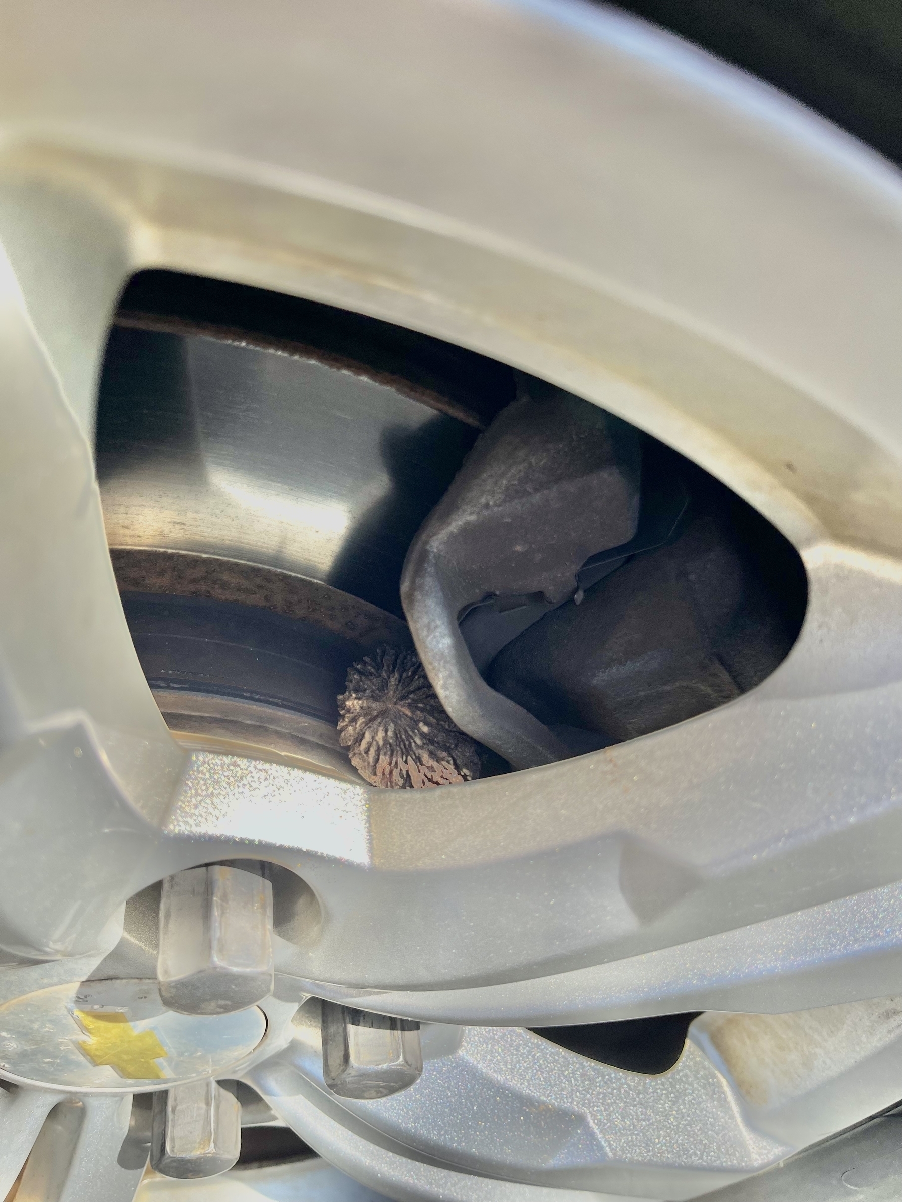 A vehicle’s wheel showing a close-up of the brake disc and caliper, with a walnut wedged between the components.