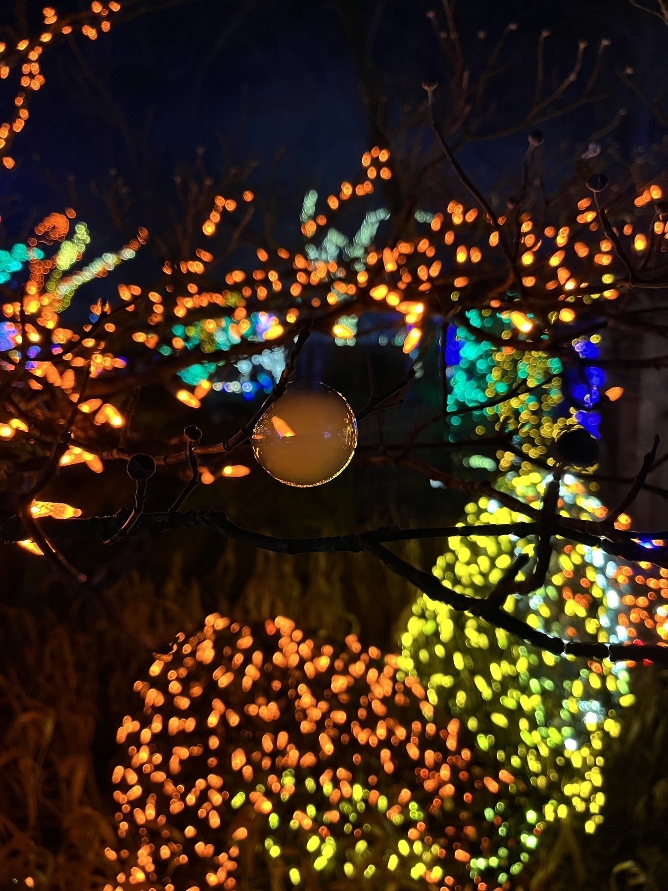 A single illuminated bubble in sharp focus against a blurred backdrop of multicolored lights adorning bare tree branches at night.