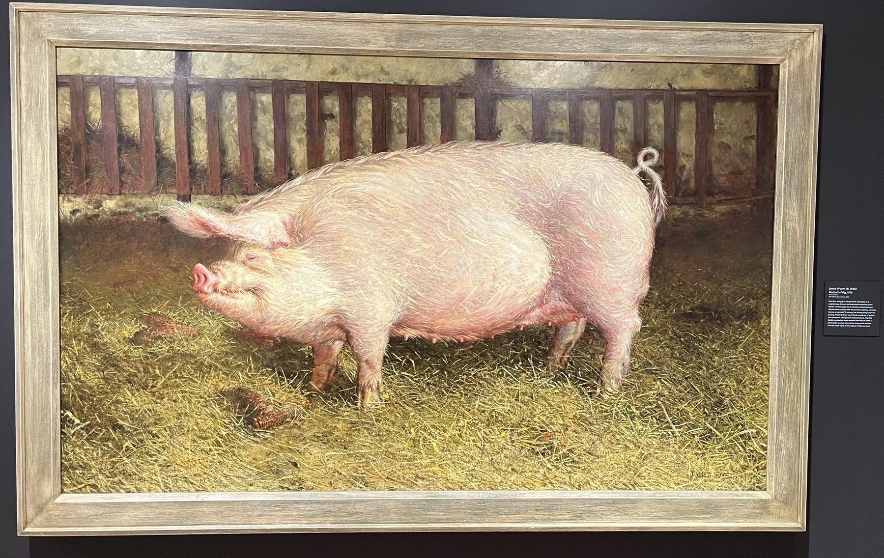 Painting of a large pink pig standing on straw, surrounded by a wooden fence and dark walls. Artist name: Emile Claus, year: 1884.