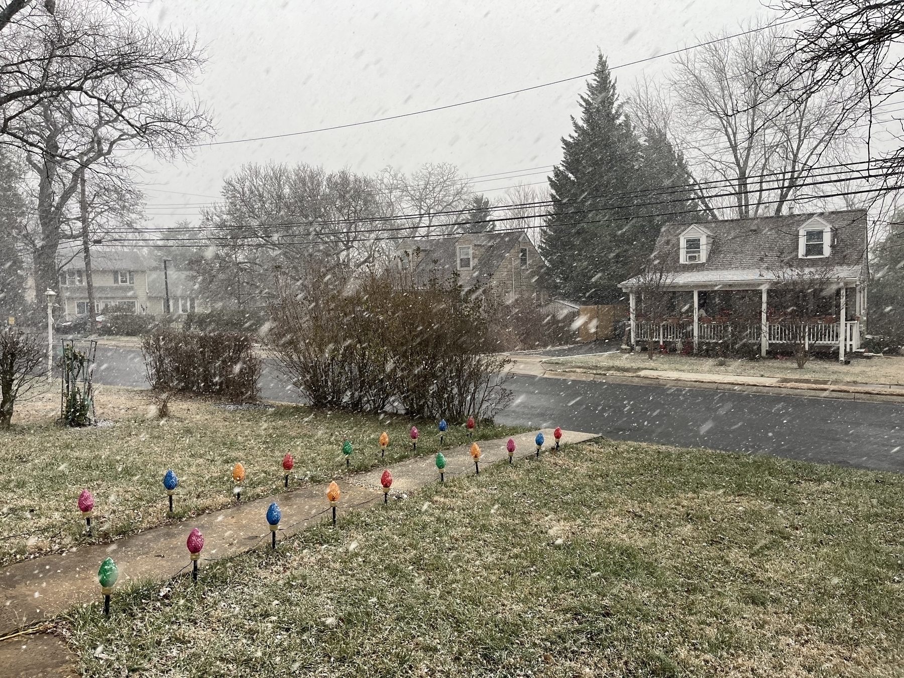 Colorful light decorations line a snowy walkway in a residential neighborhood. Snowflakes fall steadily, covering lawns and houses, with leafless trees and overcast skies in the background.