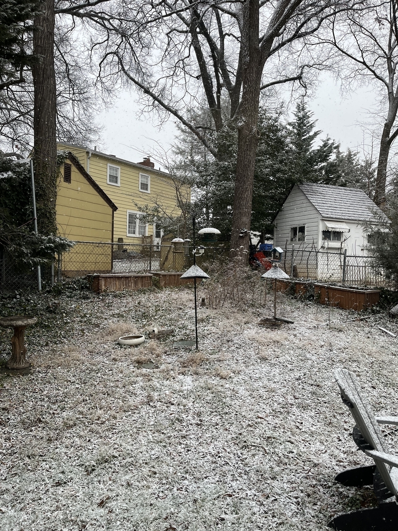 Snow lightly covers a backyard with birdfeeders on poles, bordered by a yellow house, white shed, and trees, creating a serene wintry scene.