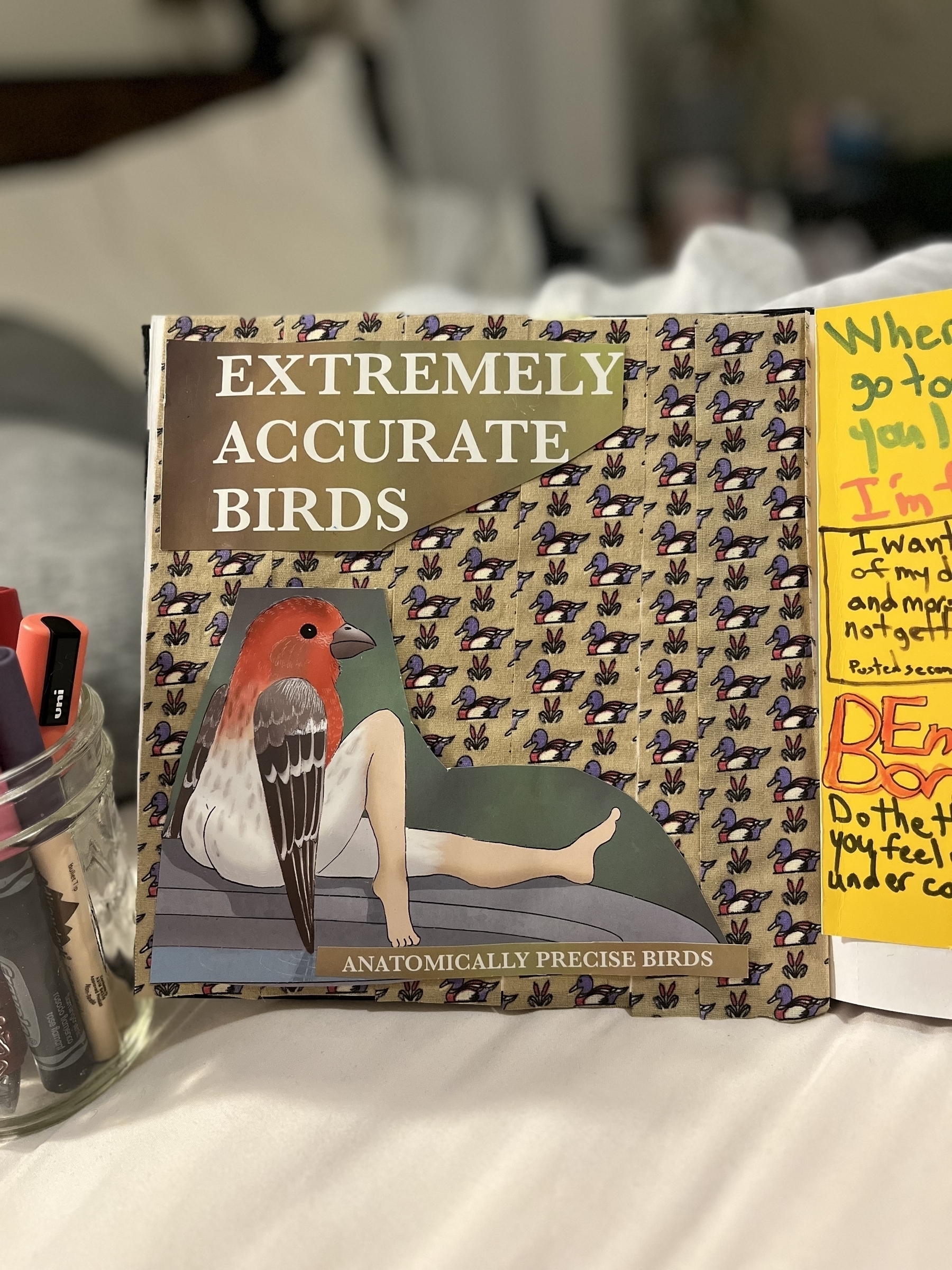 An open book displays an illustration of a bird with human legs, titled “EXTREMELY ACCURATE BIRDS” and “ANATOMICALLY PRECISE BIRDS.” Nearby, there’s a jar with pens and a partially visible yellow page with handwritten notes.