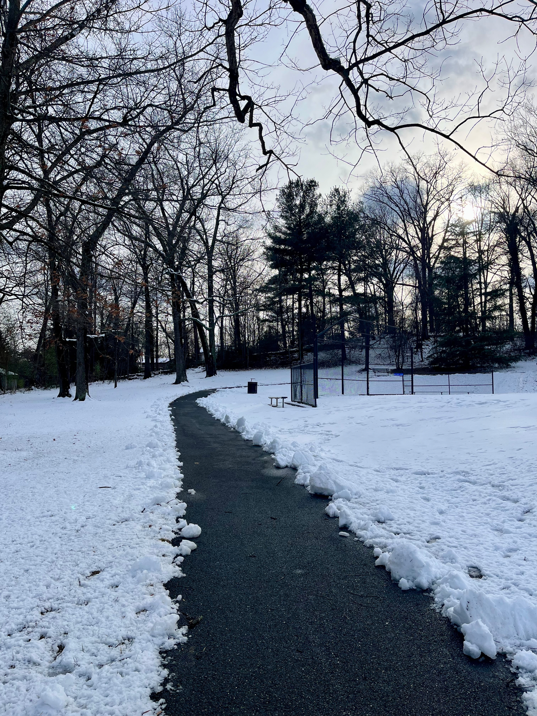 Pathway curves through a snow-covered park, bordered by tall bare trees under a cloudy sky. A fenced area and picnic table are visible alongside.