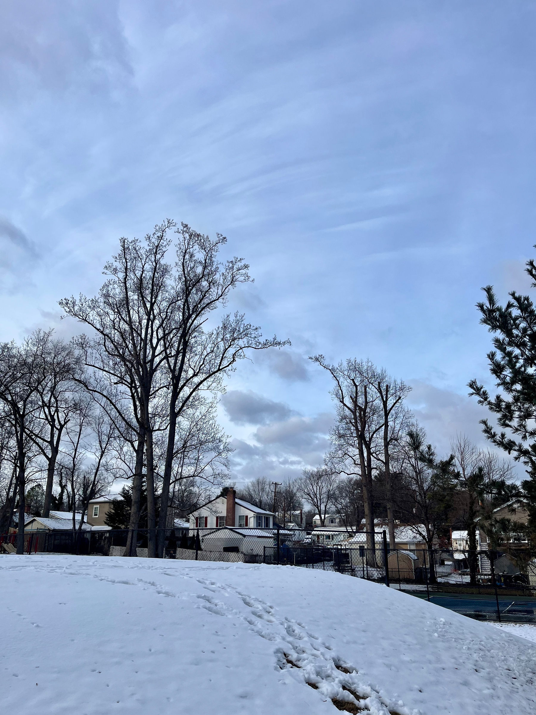 Snow-covered ground with scattered footprints leads to leafless trees, while houses and a fenced area sit in the background under a cloudy, blue sky.