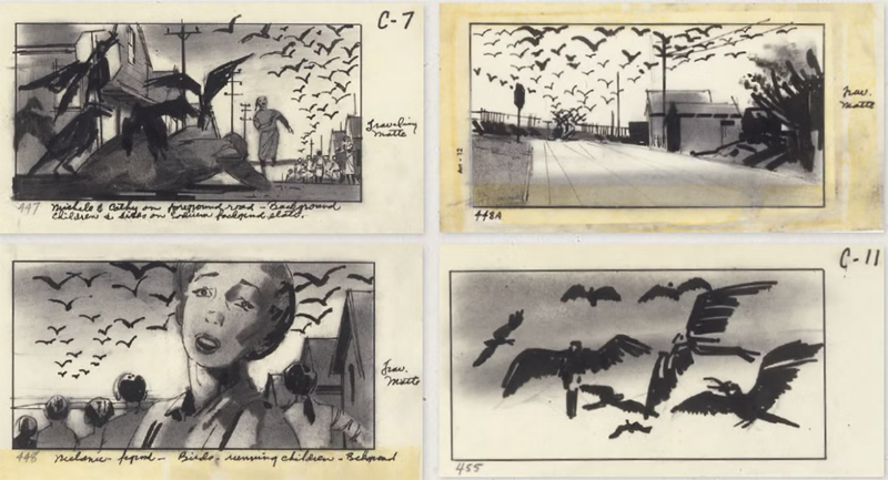 Melanie storyboards for the birds.