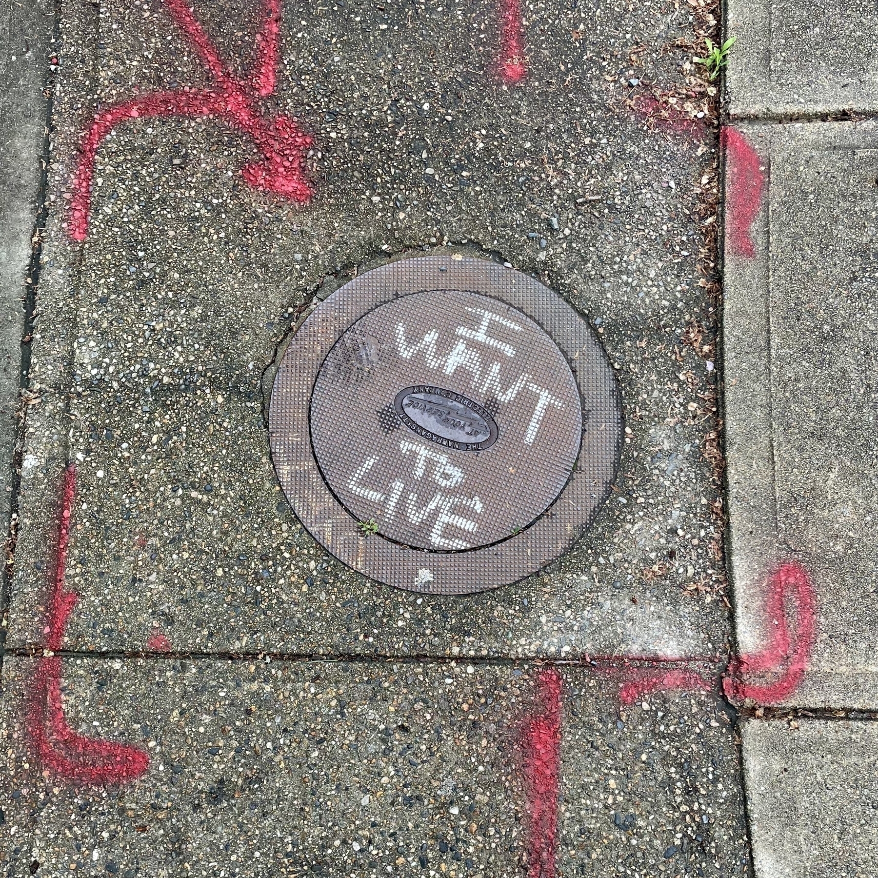 Looking down on a sidewalk, a utility hole cover is surrounded by several spray-painted red lines. On the cover is spray painted in white, “I WANT TO LIVE”.