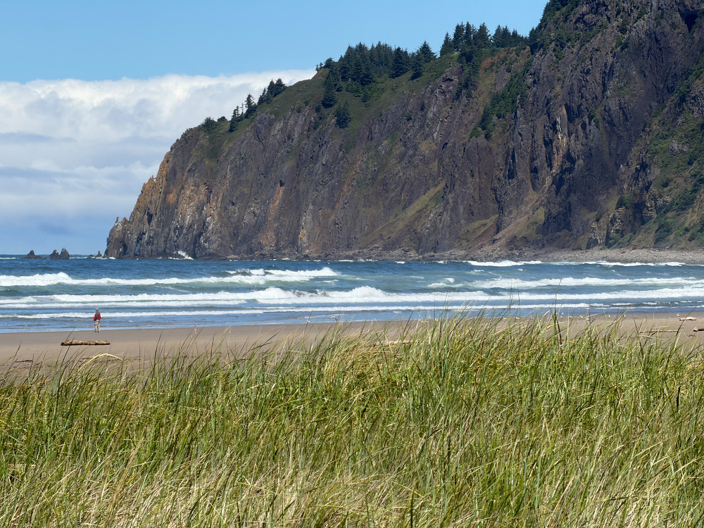 Blue ocean, blue skies, whitecaps, with mountain in the background and dune grass in the foreground.
