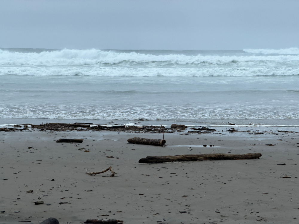 Big waves, cloudy gray day, large driftwood logs on the sand. 