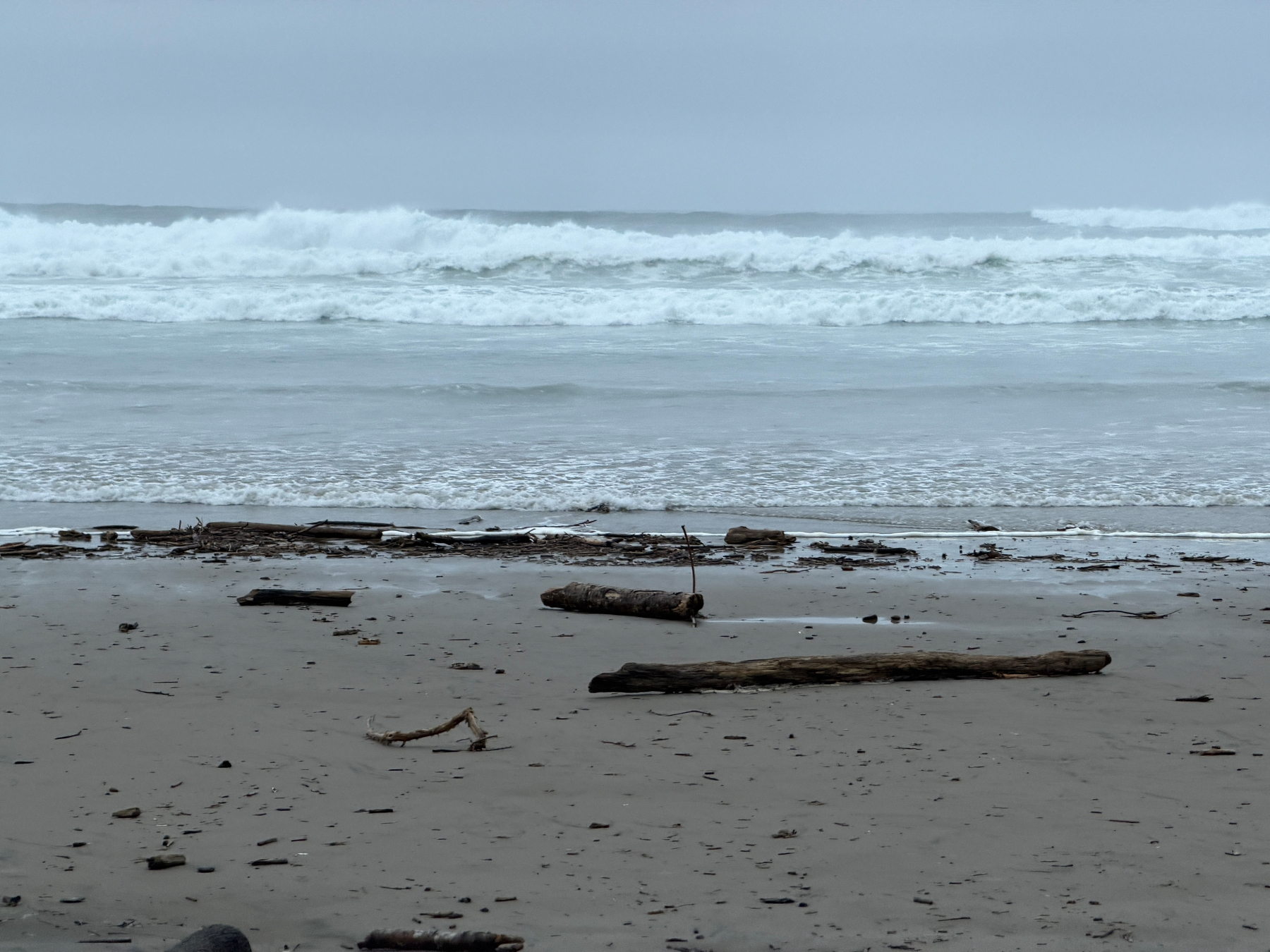 Big waves, cloudy gray day, large driftwood logs on the sand. 