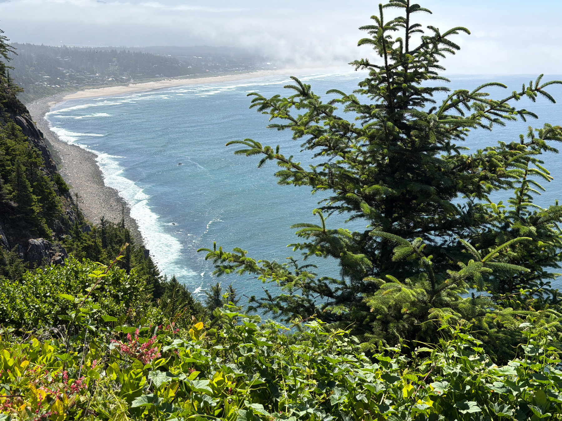 Pacific Ocean from cliff overlook, fog receding on the far hills. 