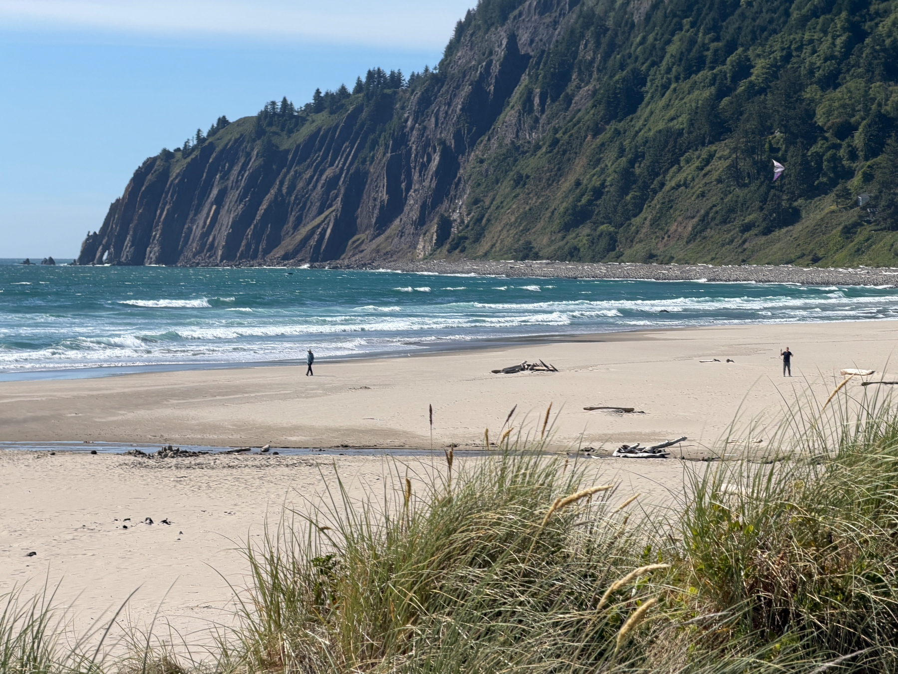 Blue green Pacific Ocean on a sunny day, dune grass in foreground, mountain cliff in background. 