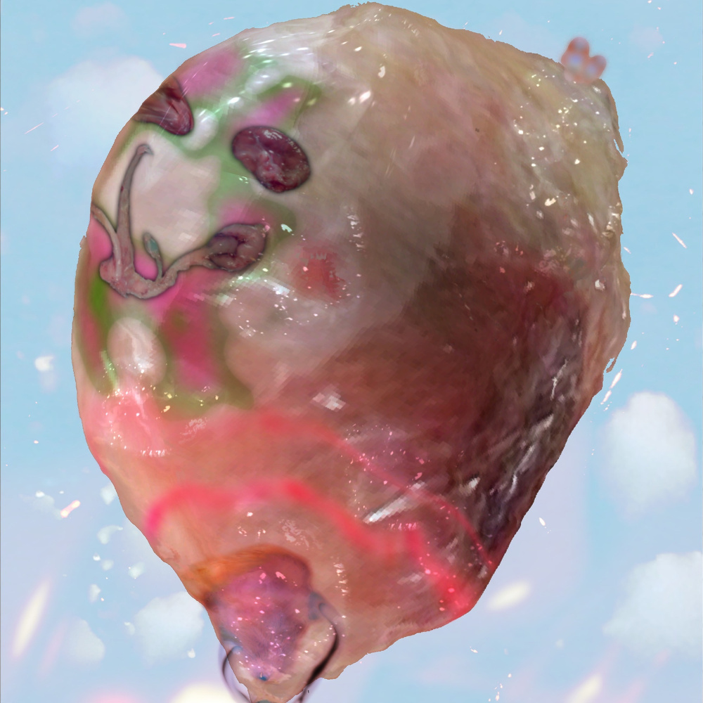 A heart-shaped object with a glossy, textured surface and abstract designs is set against a cloudy background.