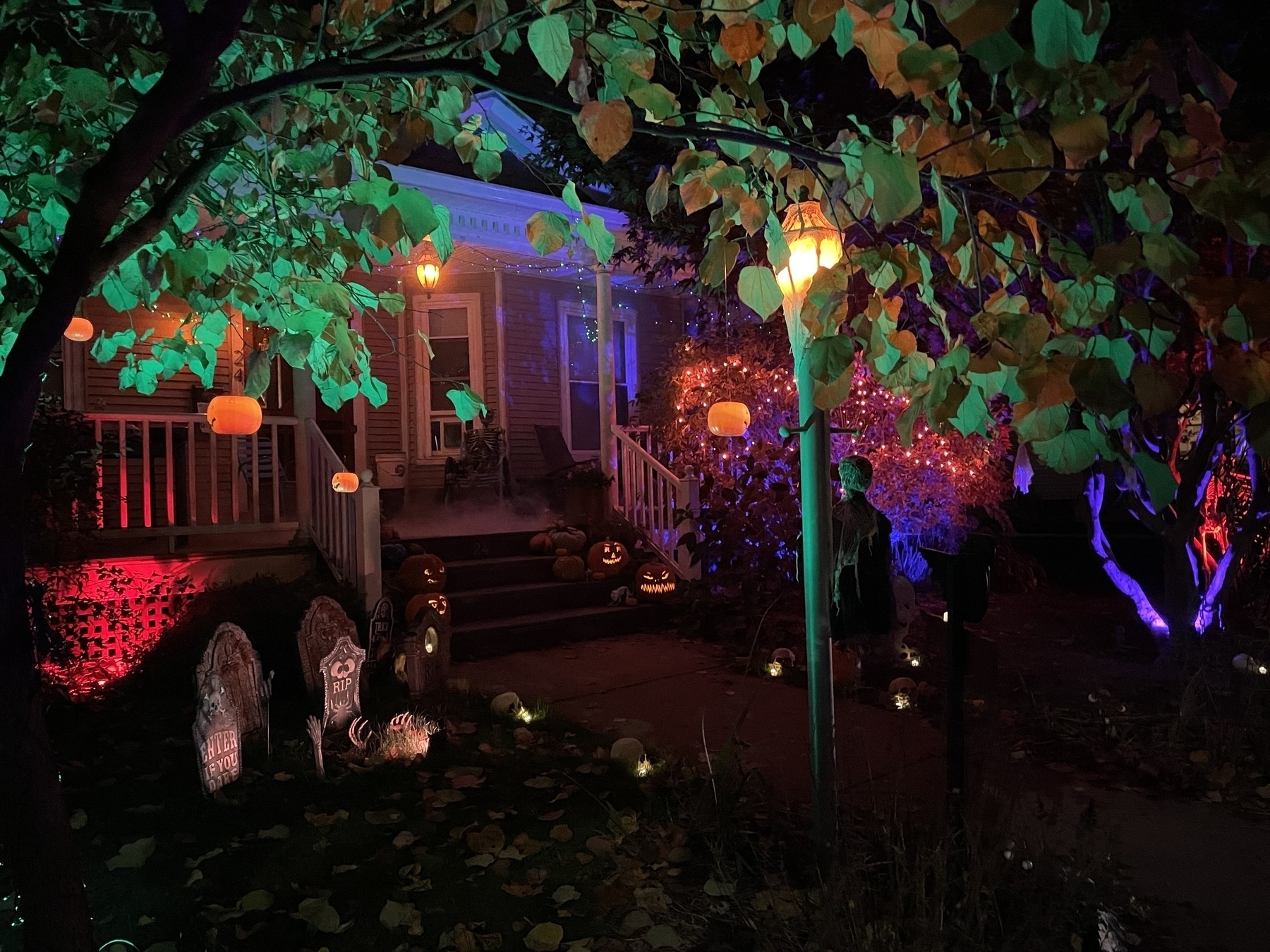 Front yard lit up for Halloween