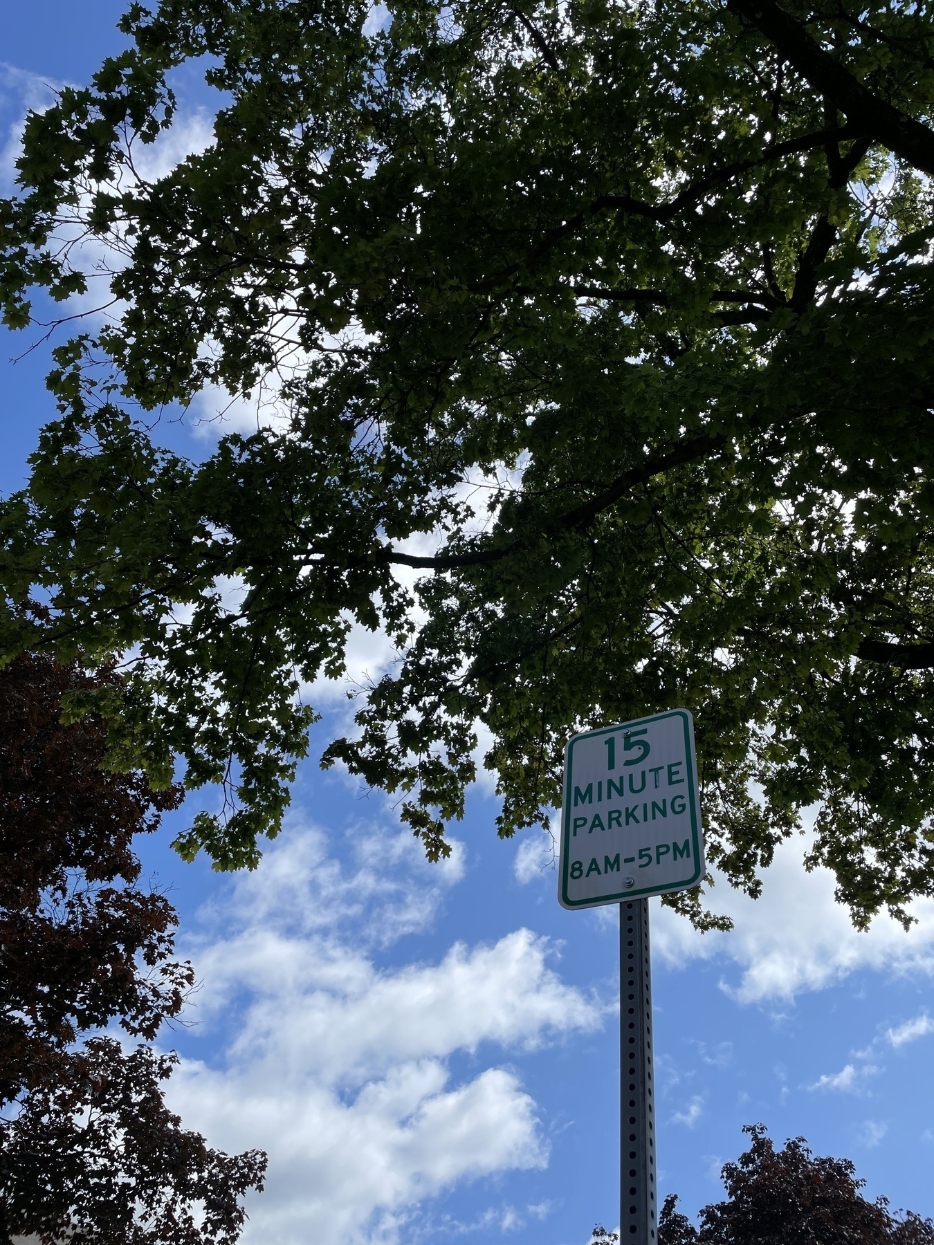15 minute parking sign on the Greenfield town common 