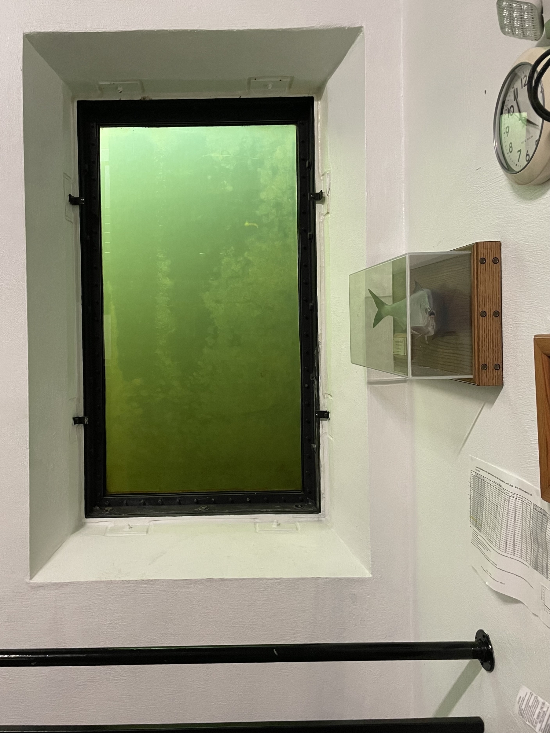 Underwater window at the fish ladder