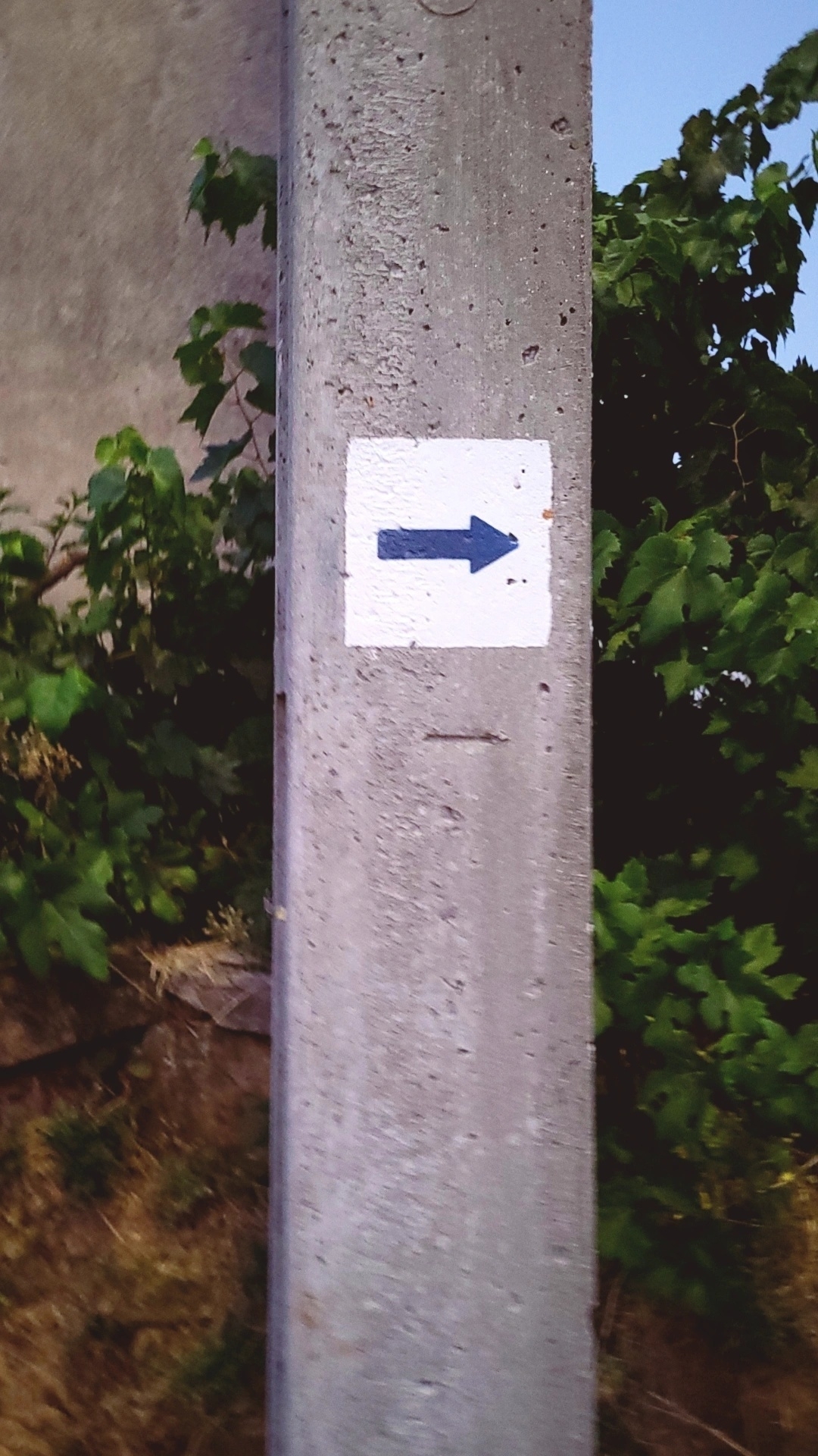 Blue arrow painted on concrete pole 