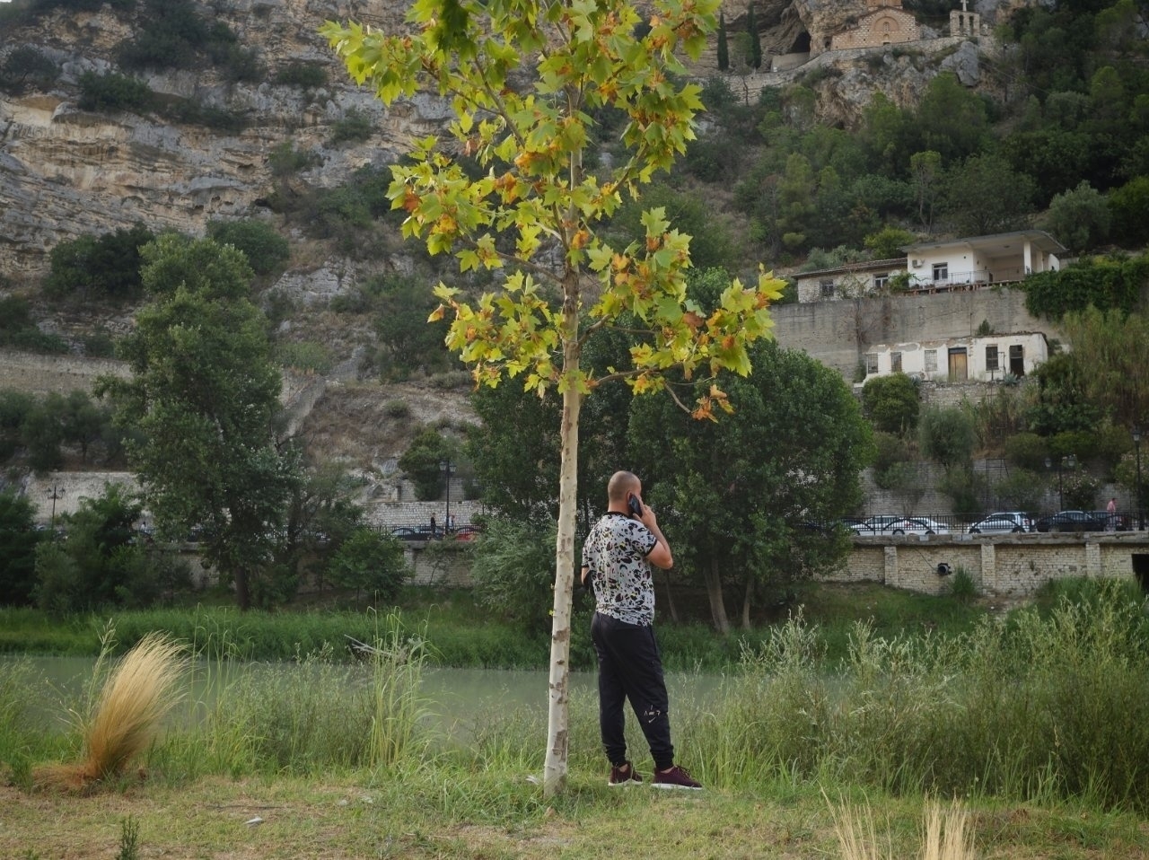 Man talking on the phone by a tree 