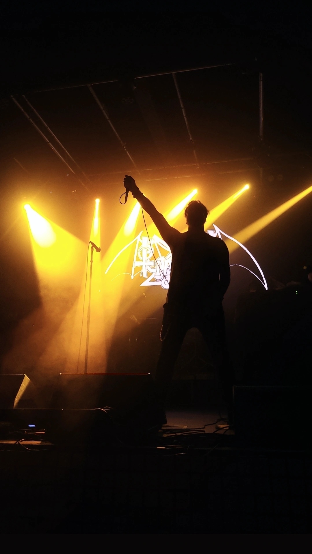 A silhouetted performer holds a microphone aloft on a stage illuminated by dramatic yellow and orange lights, with a bat symbol in the background.