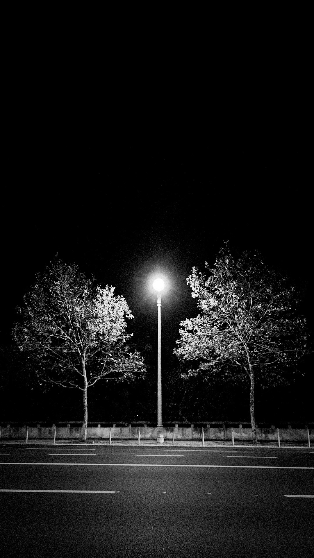 A street lamp illuminates the scene between two trees along a dark, empty road at night.