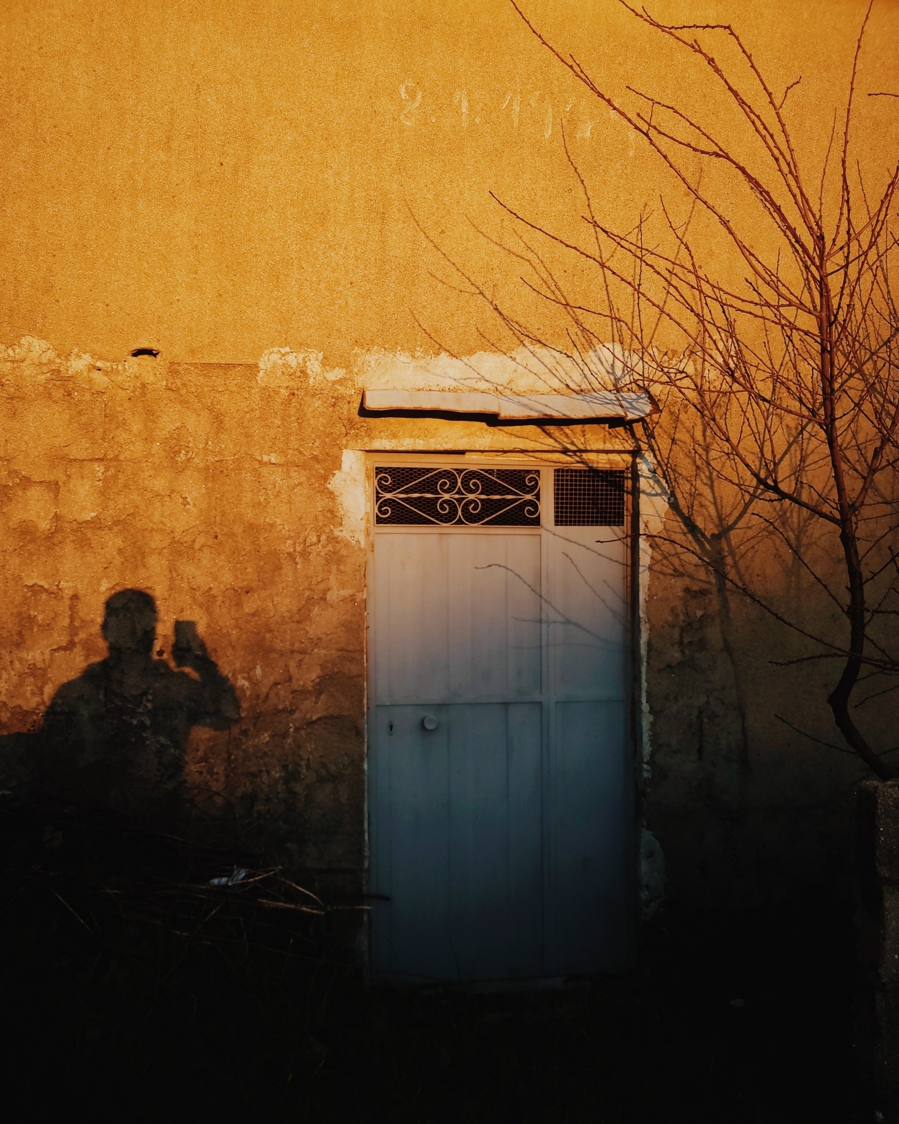 A bare tree and the shadow of a person holding up a phone are cast against a weathered wall beside a closed door.