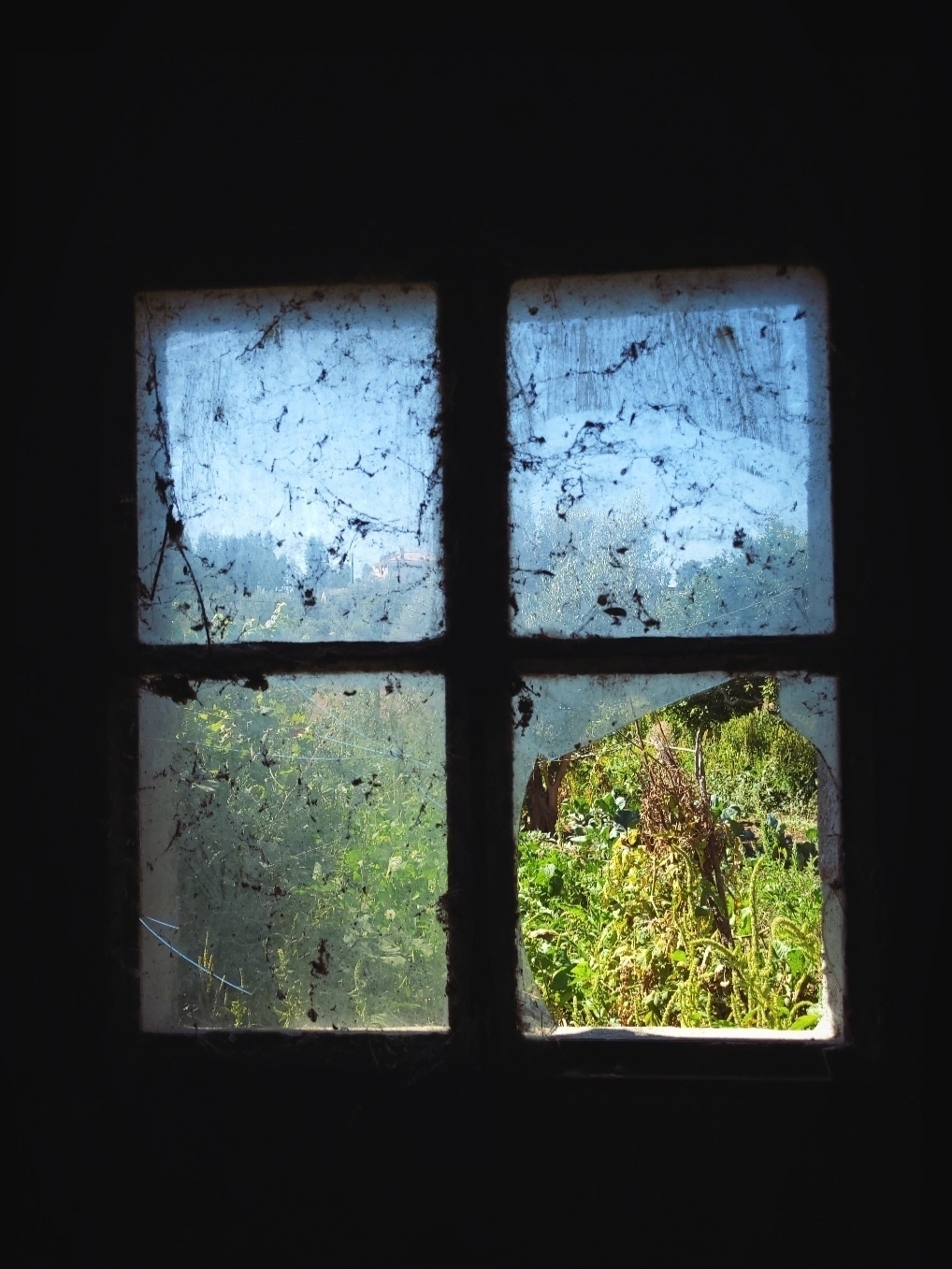 Broken window over vegetable garden 