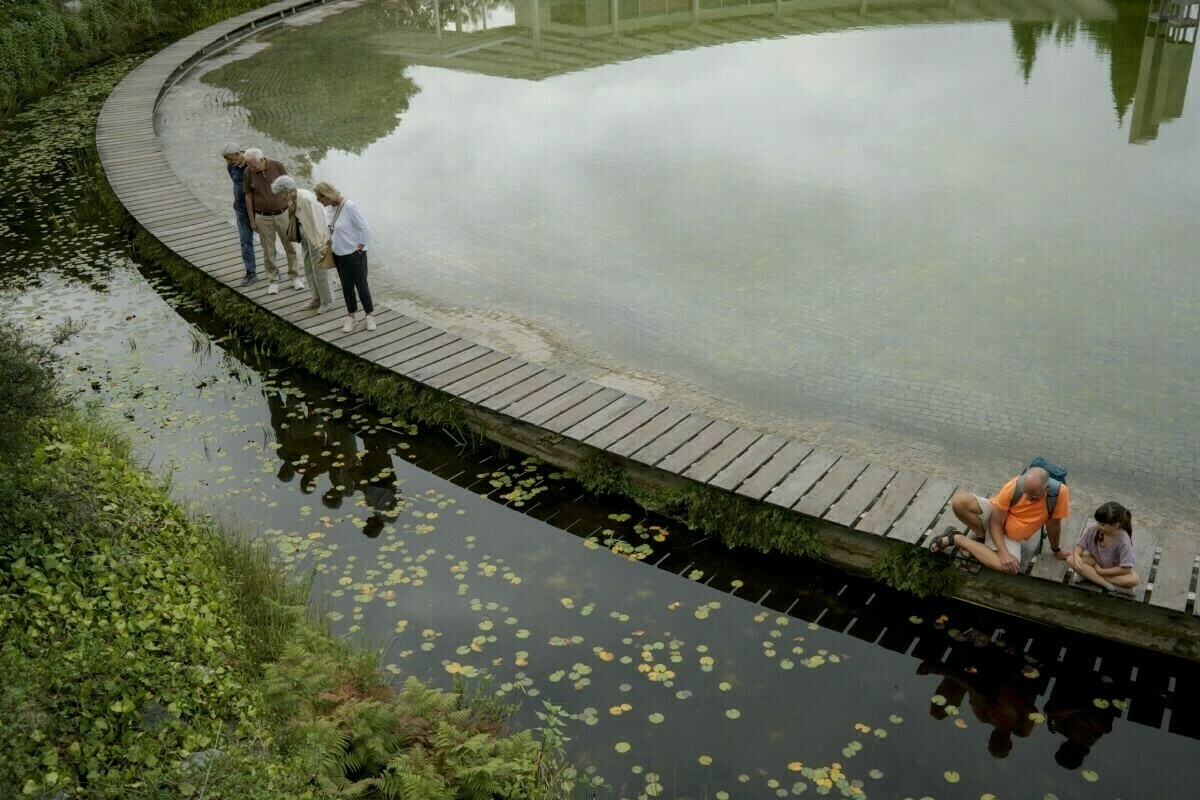 Auto-generated description: People are walking on a curved wooden boardwalk over a pond with lily pads.