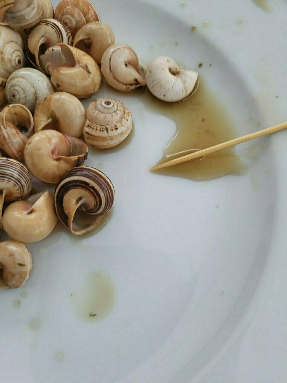 A collection of snail shells is scattered on a white plate with some liquid and a wooden toothpick.