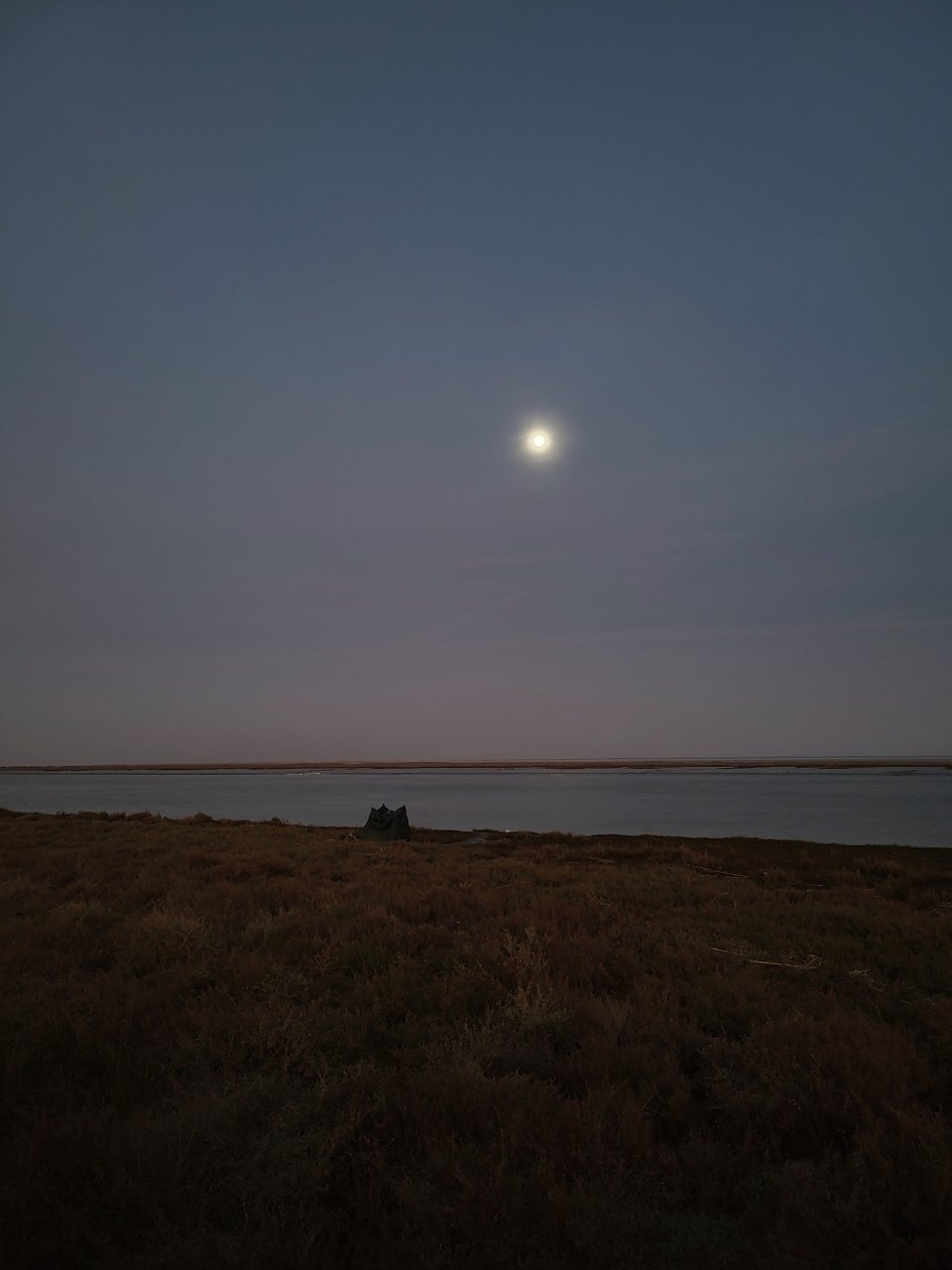 A serene landscape features a glowing full moon over a vast, calm body of water with a grassy foreground.