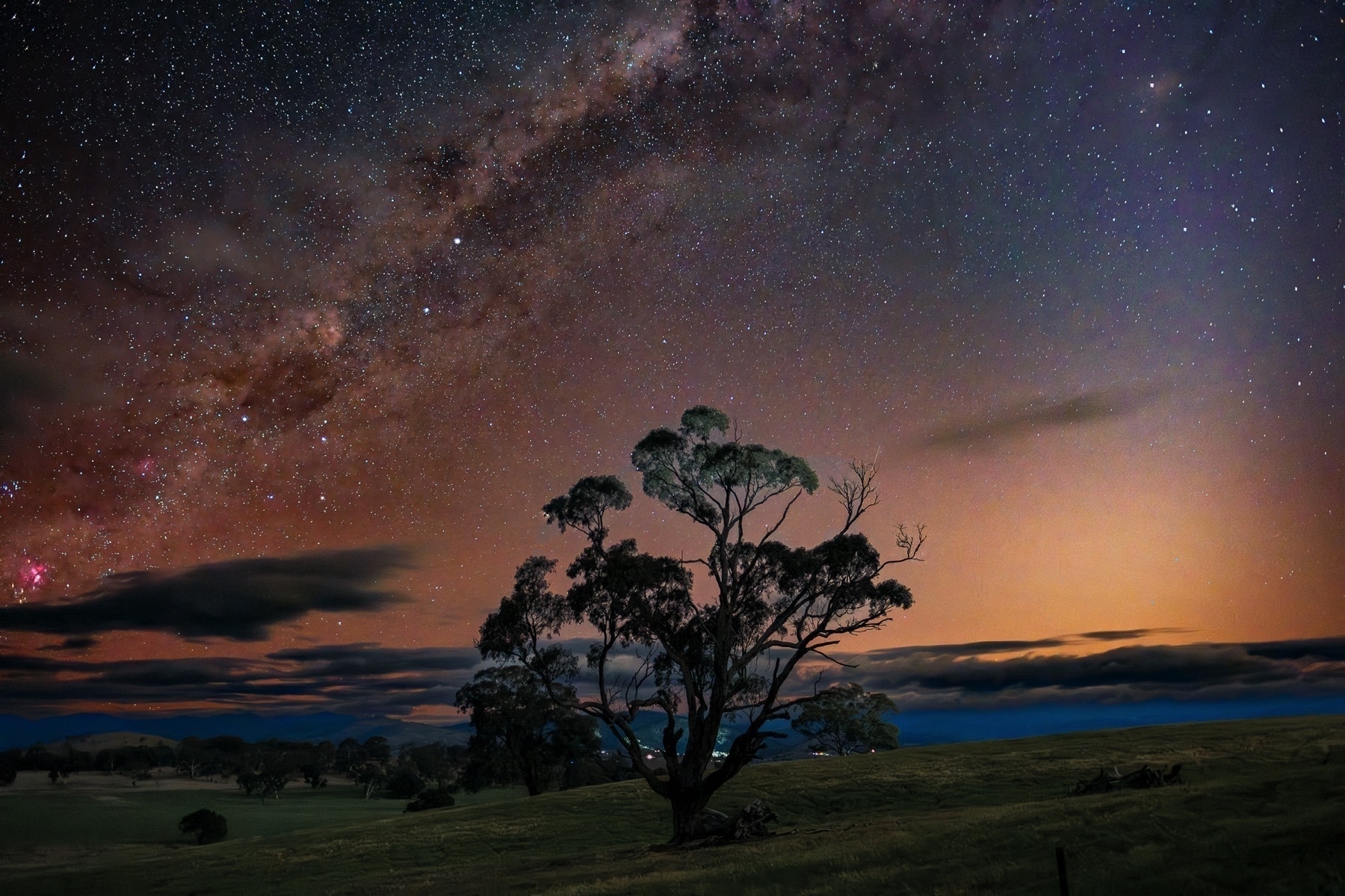 Nightscape image of a tree under the Milky Way 
