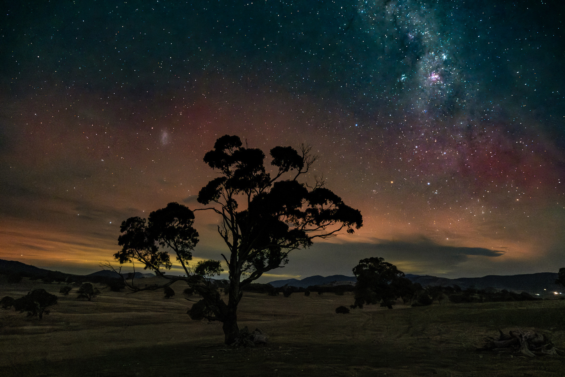 A lone tree on Canberra's southeside with a spectacular Aurora show in the night sky.