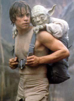  Luke and Yoda.