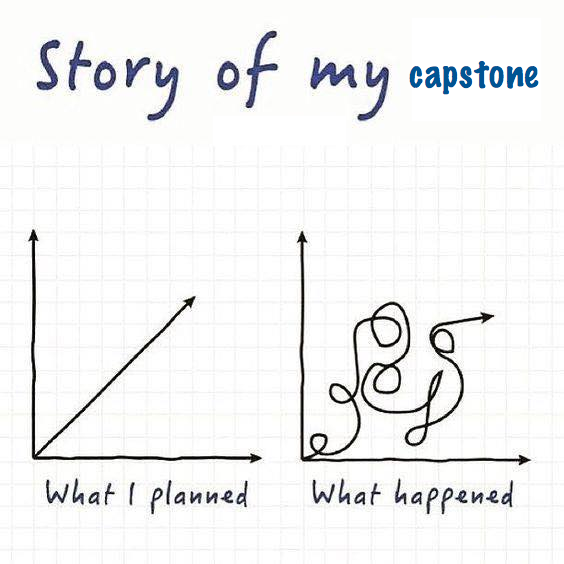 The story of my capstone never follows the path I thought it would. 