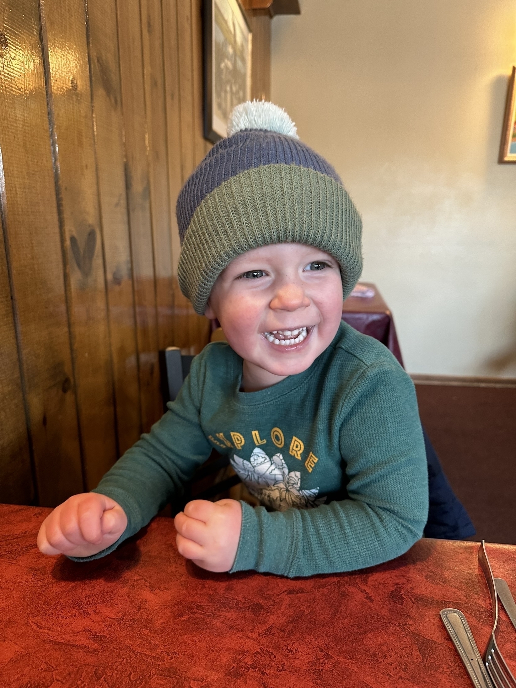 Henry a toddler in green long sleeves with a dinosaur shirt and knit beanie smiles with excitement 