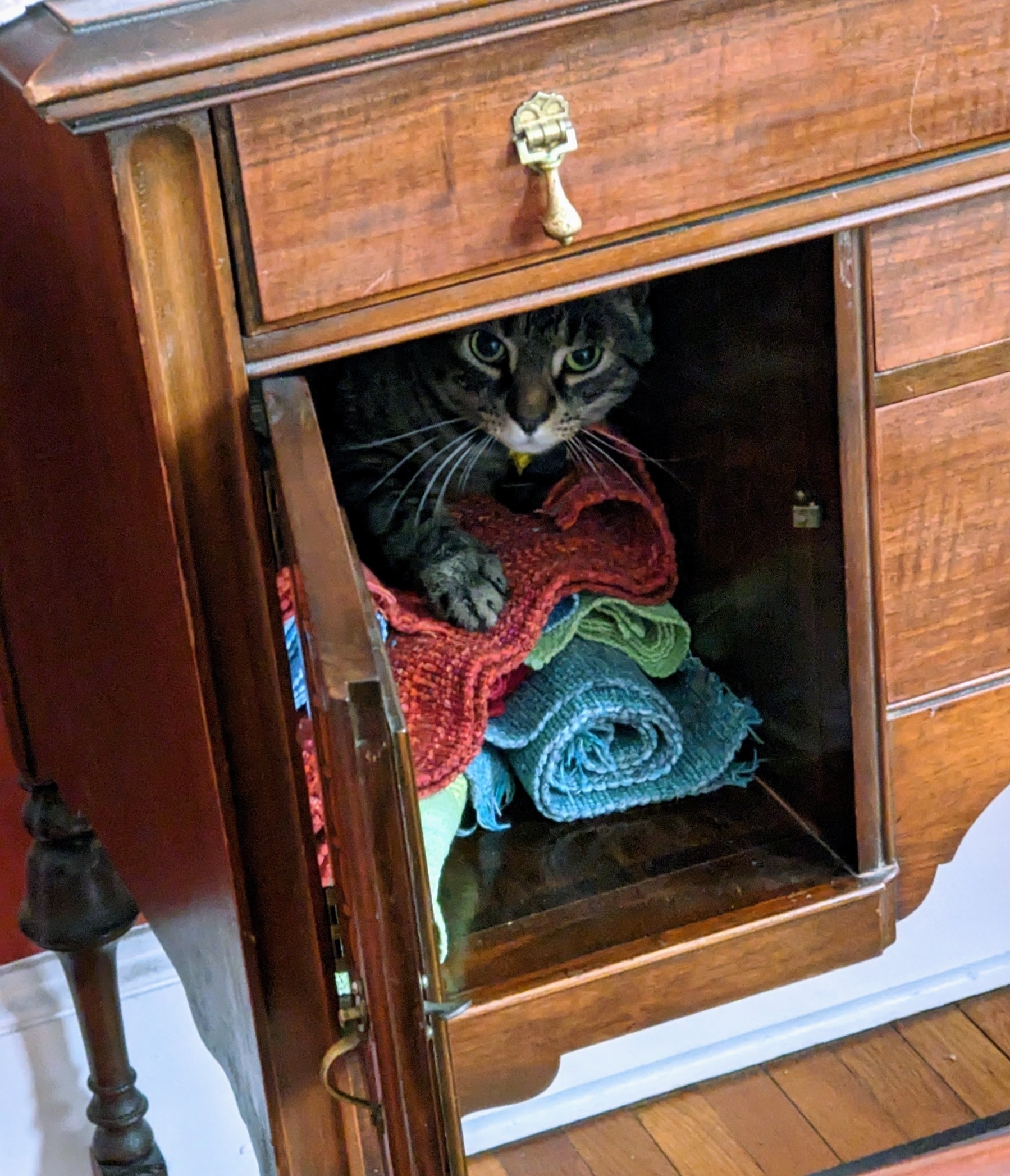 tabby cat sitting on top of linens in a cupboard