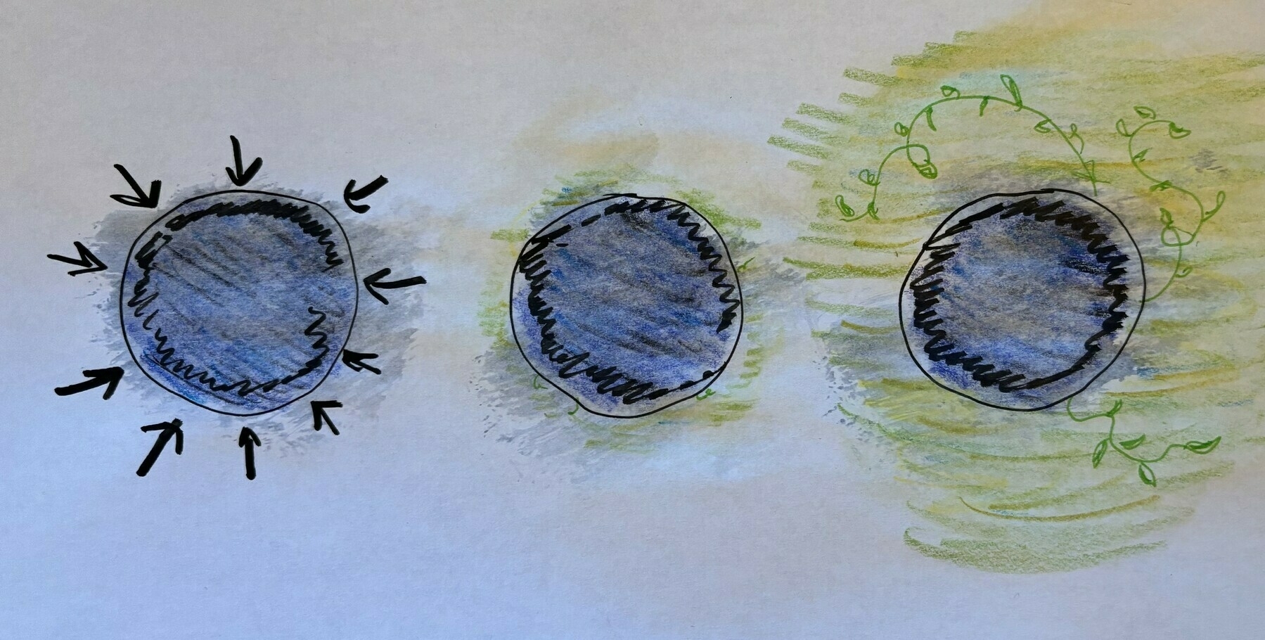 drawing of three black circles, the same size, first circle has arrows aiming it, second circle, has a little bit of green around it, third circle is surrounded by a field of green with vines beginning to grow from it