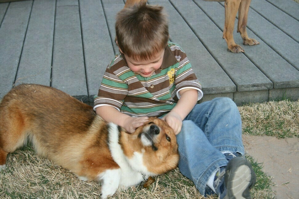 A boy and his dog