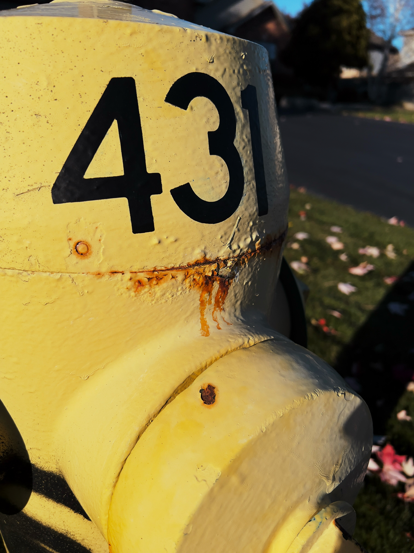 Macro shot of a banana yellow coloured fire hydrant, with the number 431 in black along the top. Just below the number is an orange-brown patch of rust that has eaten through the paint. The right hand side of the hydrant has a shadow cast over it. Behind it and to the right are the blurred silhouettes of a house, driveway, and vibrant green grass dotted with fallen leaves of various colours.