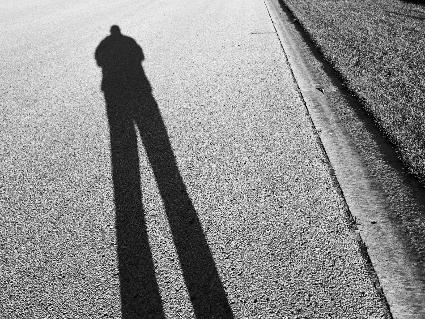 Black and white shot taken of my elongated shadow being cast on the road, with the sun moving lower behind me. The section of road is actually free of leaves, and the top right of the frame has an also leaf-free section of grass running along the road.