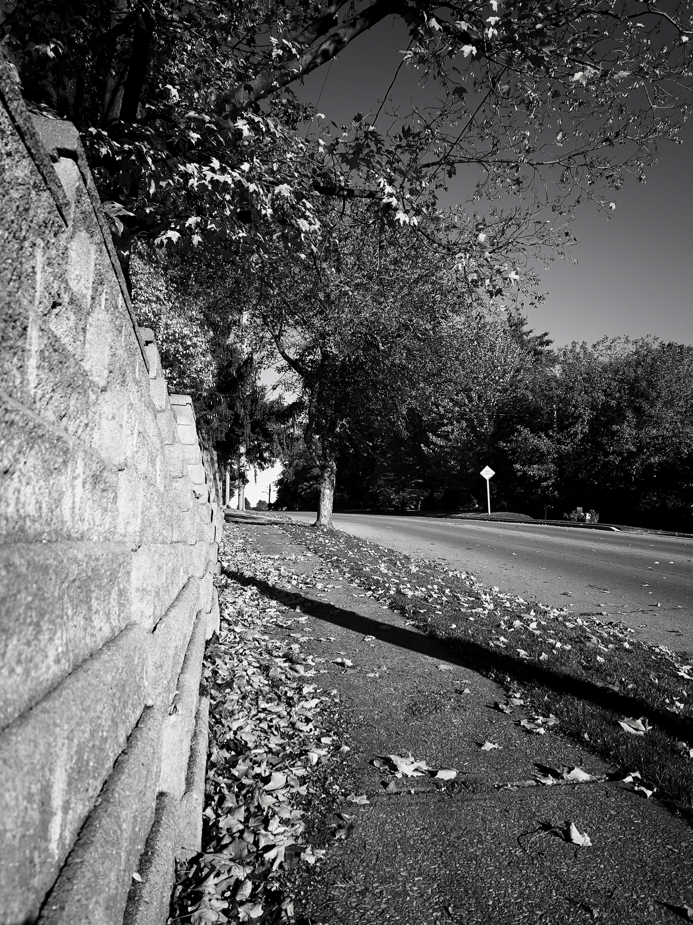 Perspective black and white shot taken down close to the sidewalk, which travels upward along a hill with the road along the right. Flanking the left of the frame is a concrete block retaining wall, with clusters of fallen leaves all along the bottom of the wall and left of the sidewalk. There are groups of trees overhanging the wall and sidewalk all along the view. In the right middle of the frame are a thick cluster of trees.