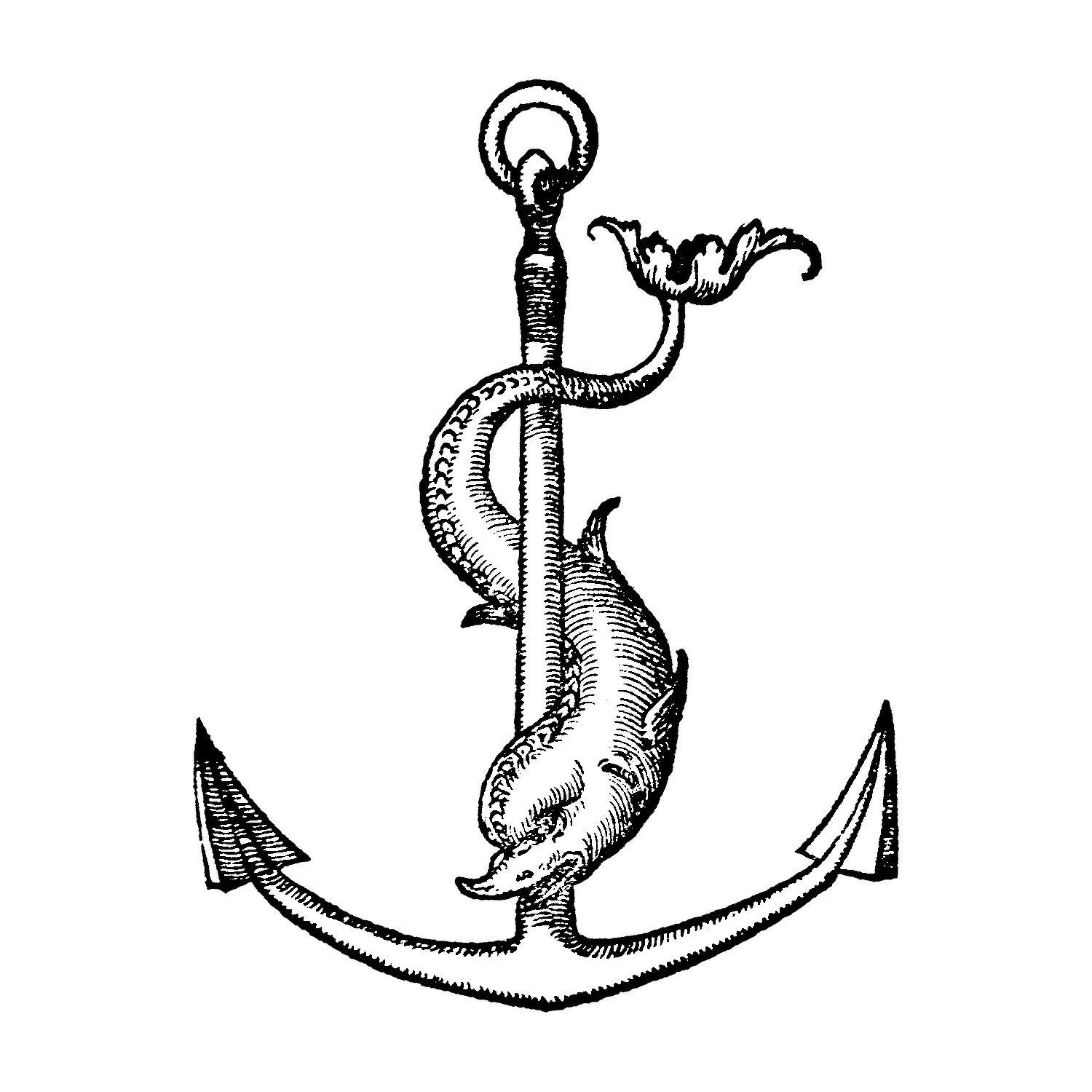 Auto-generated description: An intricately designed anchor entwined with a fish adorns the center.