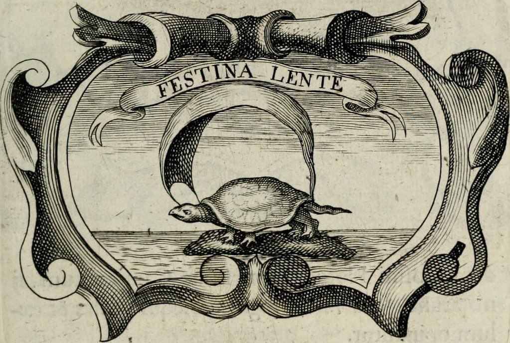 Auto-generated description: A turtle is depicted walking on a scroll with the Latin phrase Festina Lente.