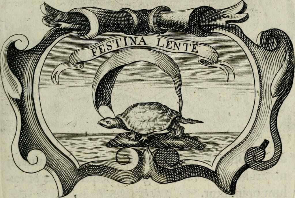 Auto-generated description: A turtle is depicted walking on a scroll with the Latin phrase Festina Lente.