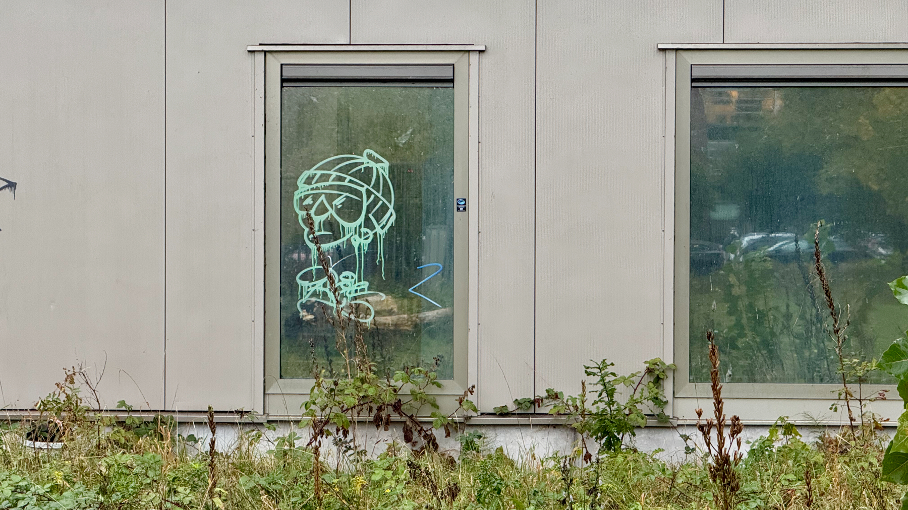 Auto-generated description: A graffiti-style drawing of a skull wearing a beanie is visible on a window in a building surrounded by overgrown vegetation.