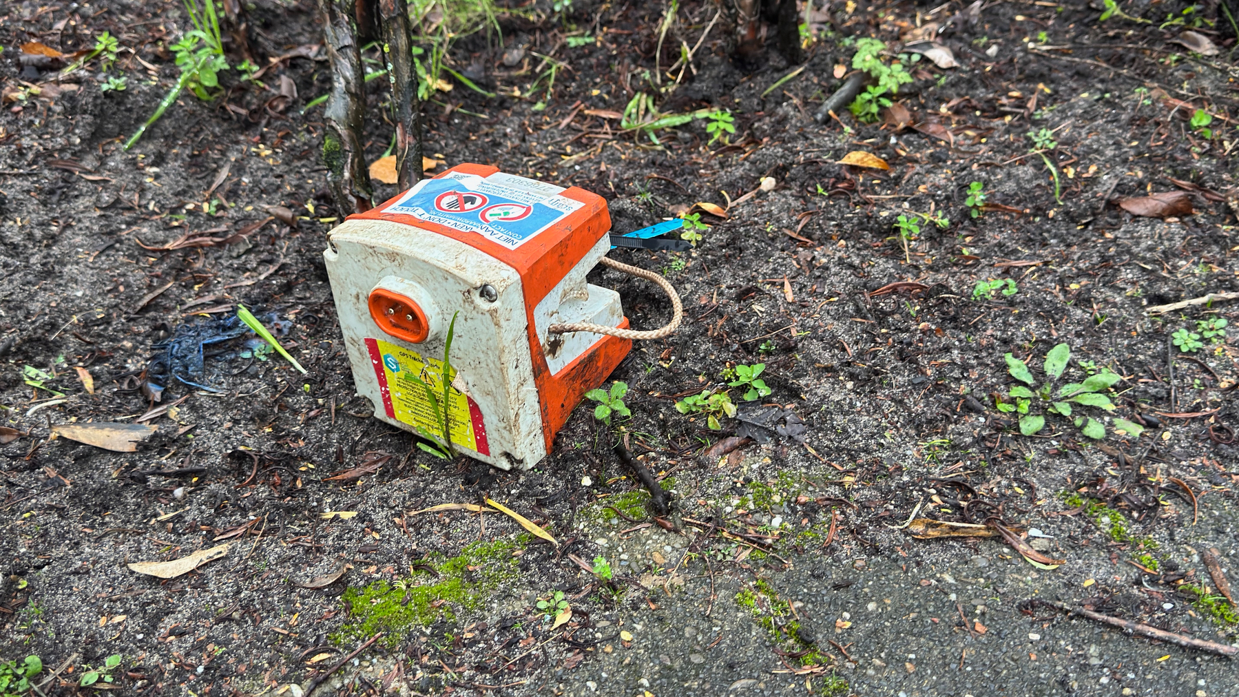 Auto-generated description: A weathered, orange electrical outlet box is situated on the ground amidst dirt and small plants.