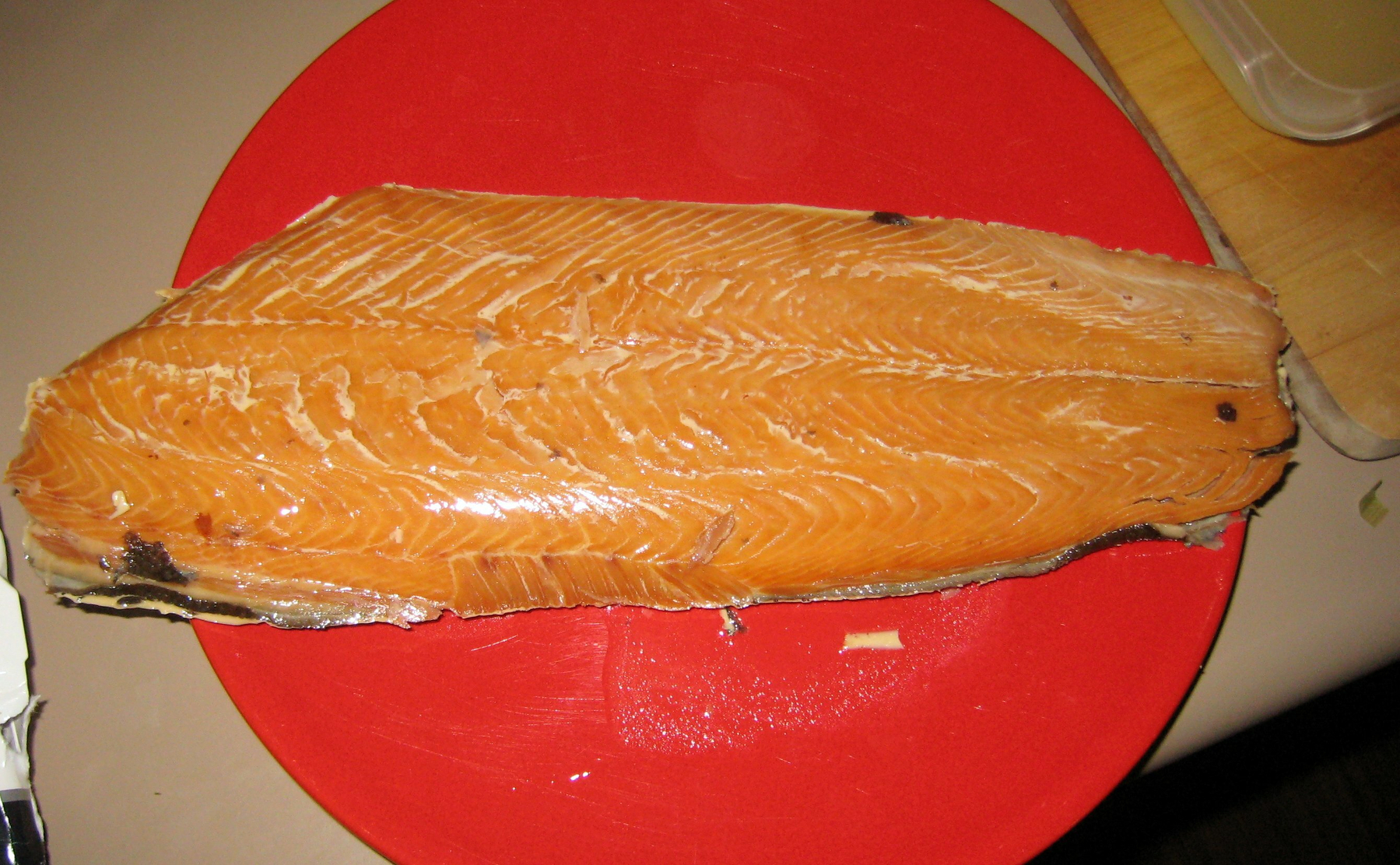 Salmon