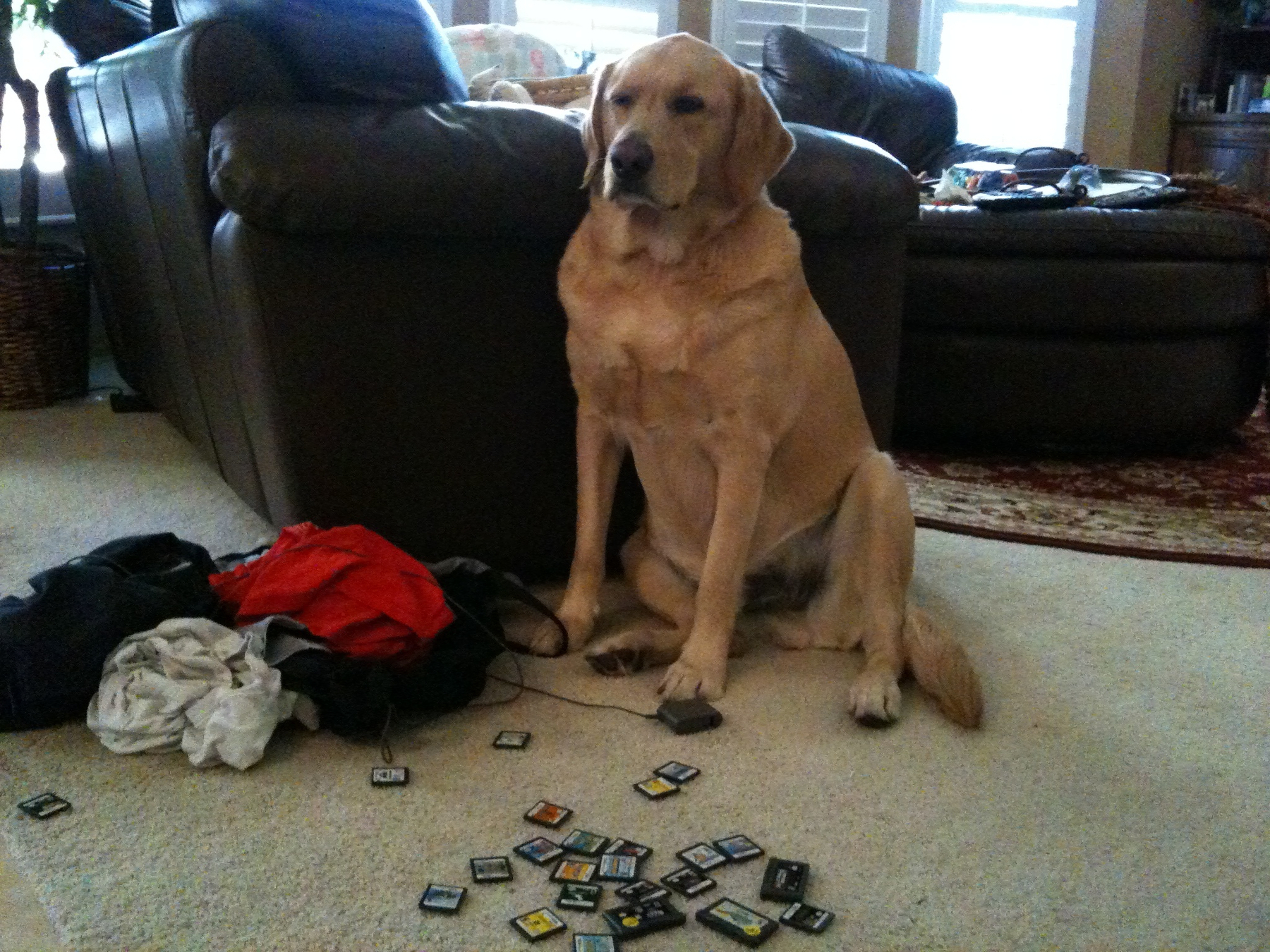 Guarding the DS games